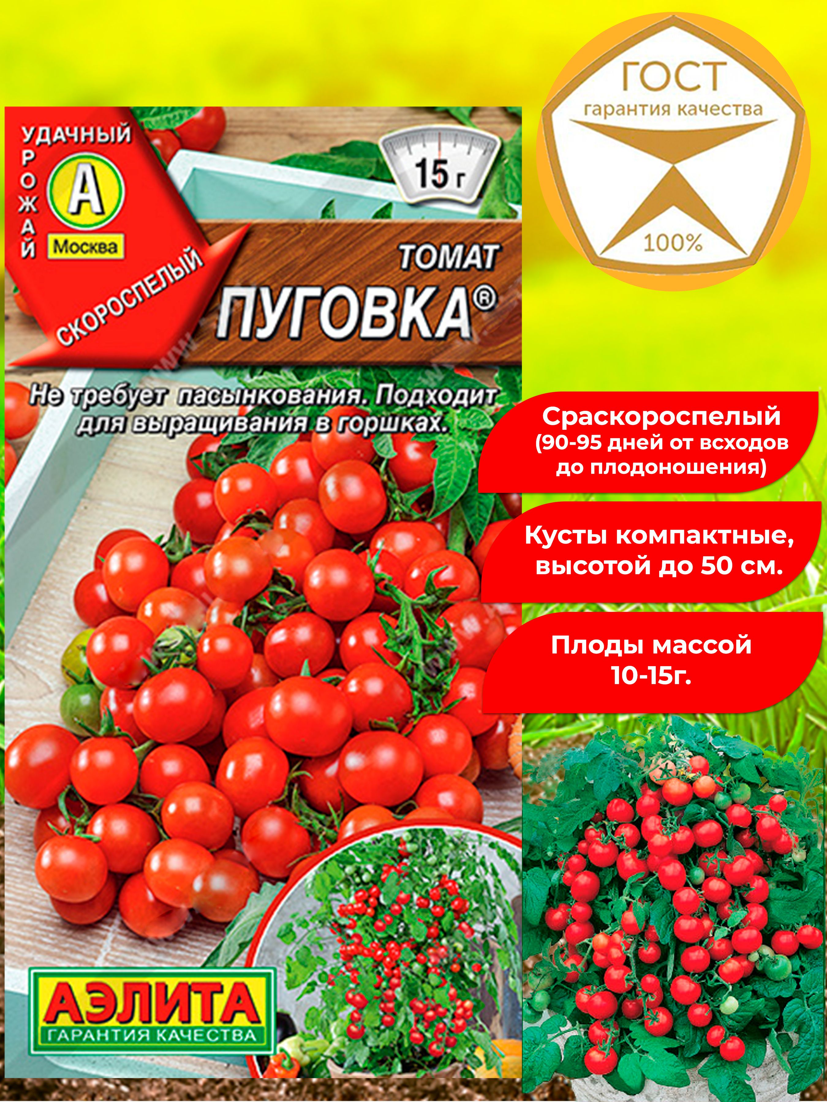 Семена томатов Пуговка, черри. Томат низкорослый, раннеспелый, комнатный, балконный. Отличные вкусовые качества, ароматный.