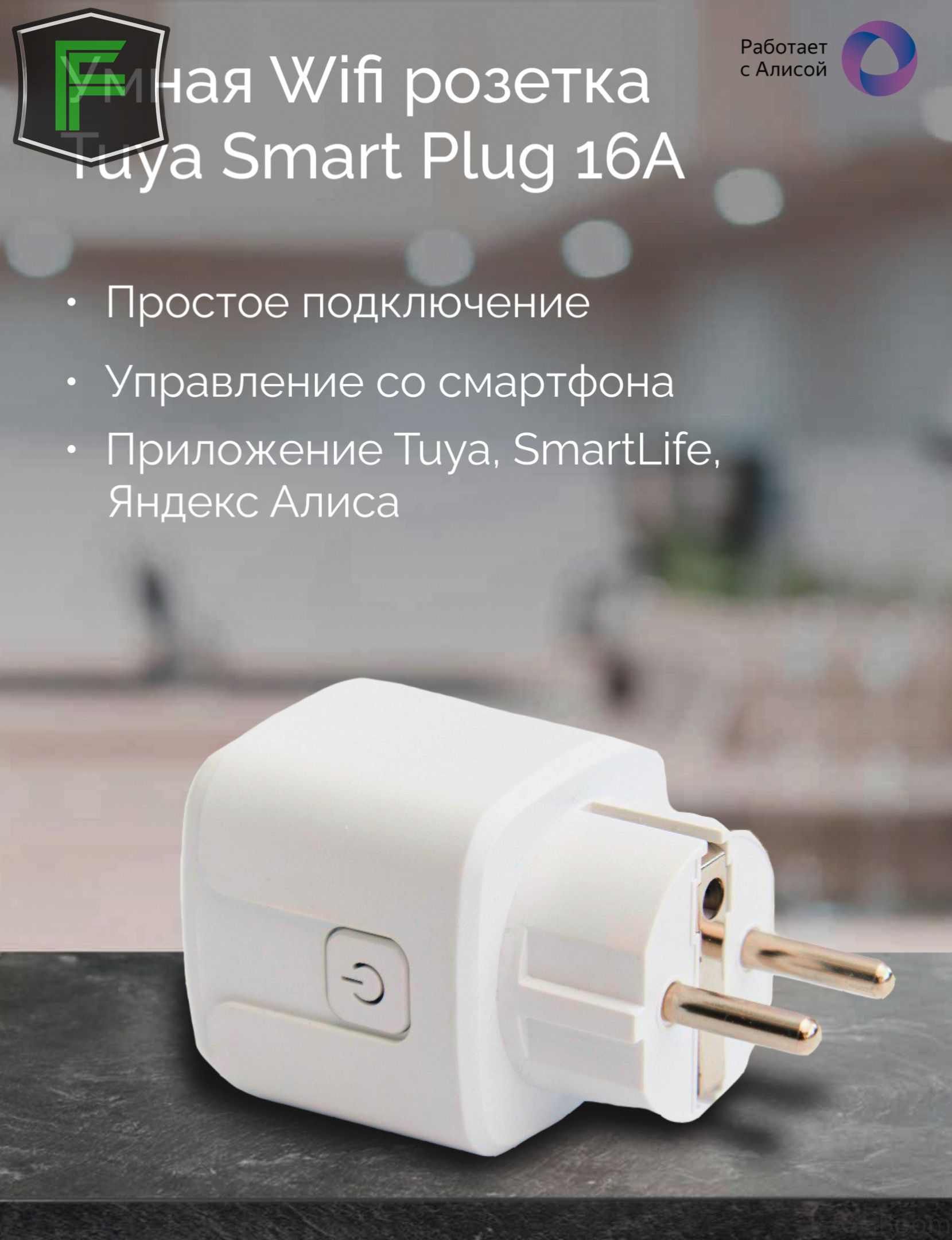 УмнаяWifiрозеткаTuyaSmartPlug16А.РаботаетсАлисой.GGBoom