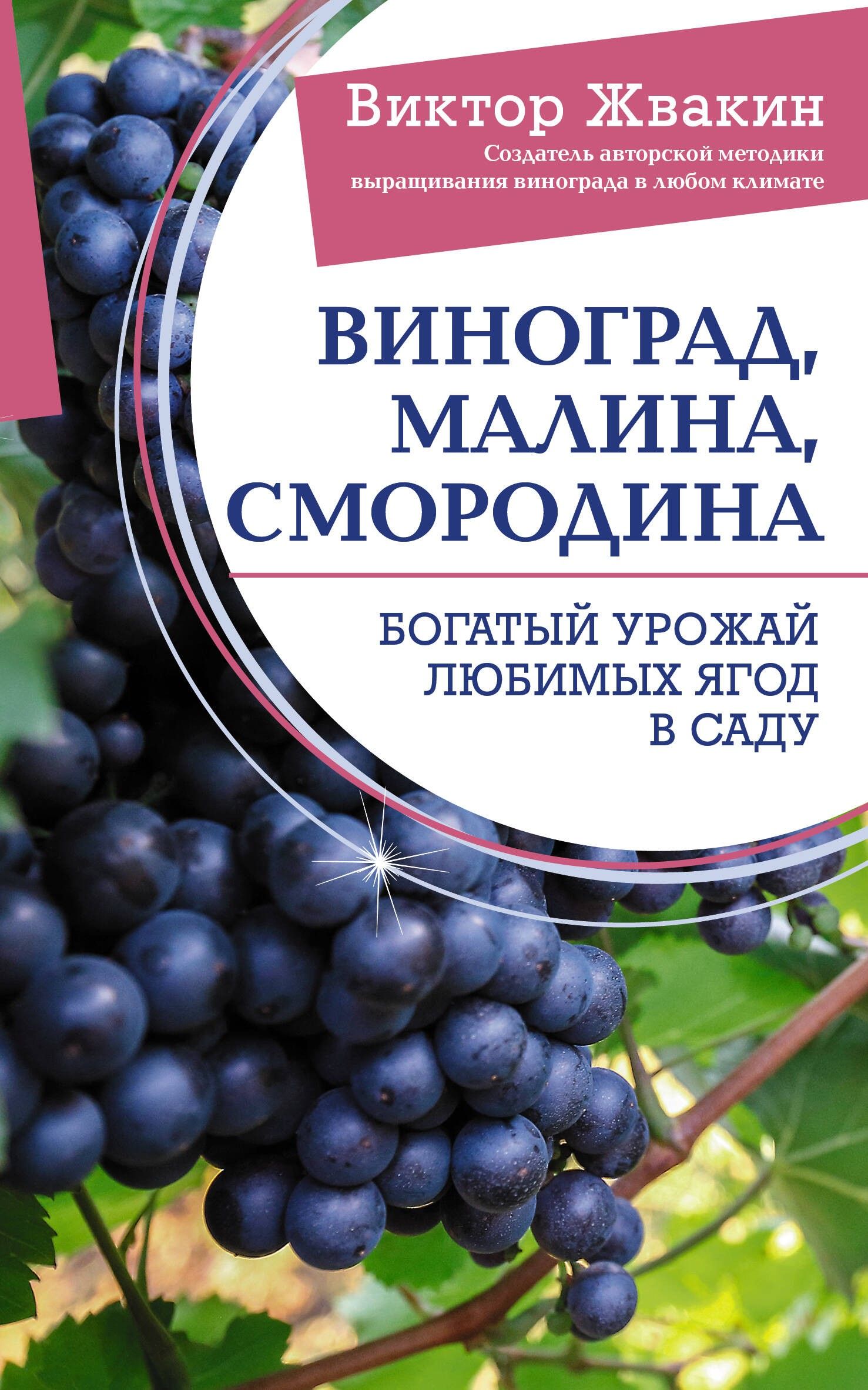 Виноград, малина, смородина. Богатый урожай любимых ягод в саду | Жвакин Виктор Владимирович