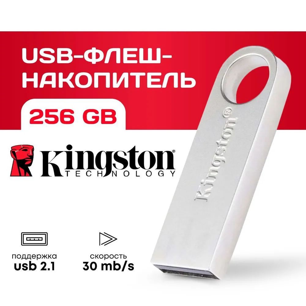 USBФлеш-накопительFlash/256ГБ