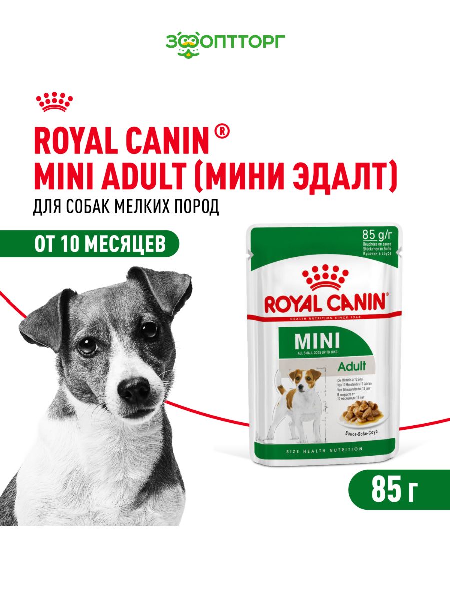 Влажный корм Royal Canin Mini Adult для взрослых собак мелких пород (соус), с мясом, 85 гр