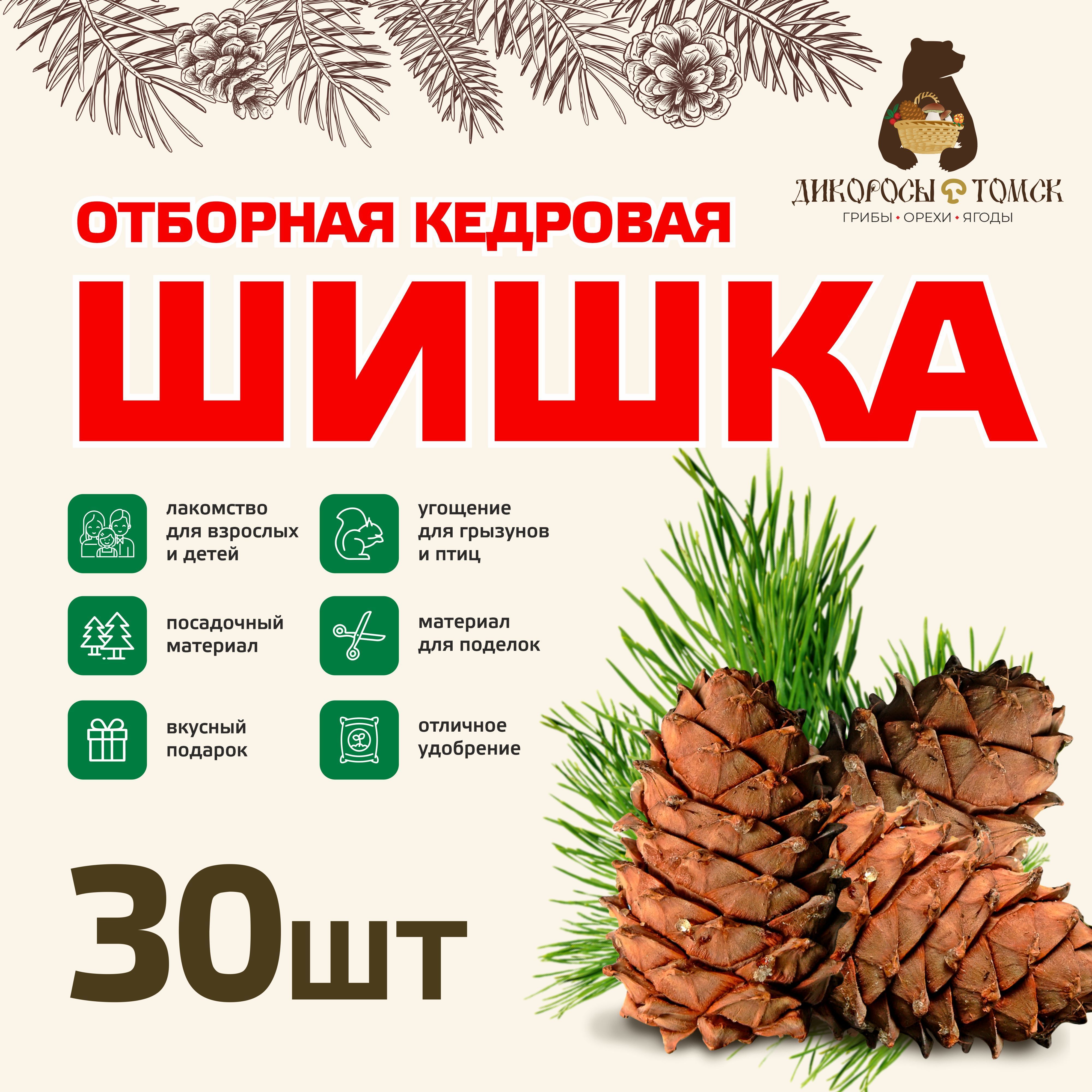 Кедровая шишка отборная 30 шт.