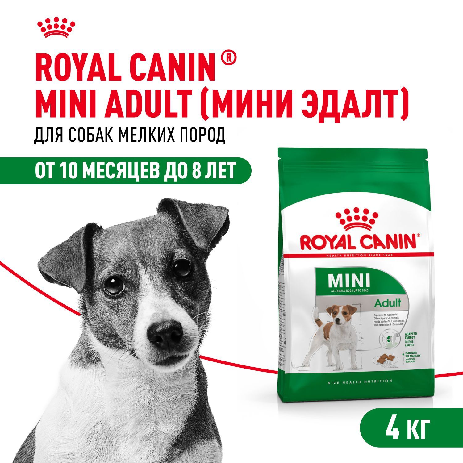 Сухой корм для собак Royal Canin Mini Adult для мелких пород, 4 кг