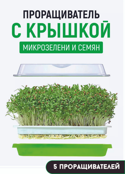 Проращиватель для семян и микрозелени 5 шт - купить с доставкой по ...