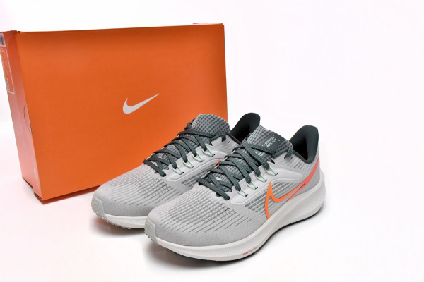 Nike Air Zoom Pegasus 39 OZON 1622474305