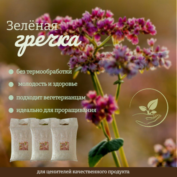 Гречка зеленая 5 кг - купить с доставкой по выгодным ценам в интернет ...