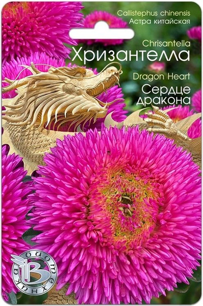 Астры однолетние Биотехника Астра Китайская Хризантелла - купить по ...