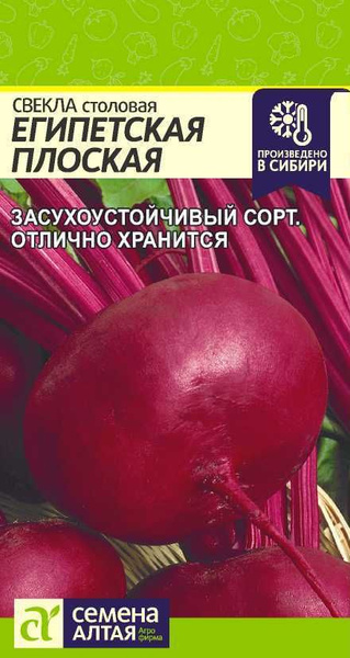 Свекла Семена Алтая свекла - купить по выгодным ценам в интернет ...