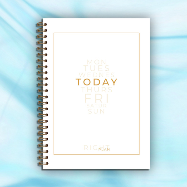 Ежедневник Right Plan "Today" недатированный на год 92 листа формат А5 ...