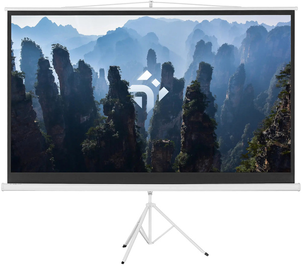 100" Экран для проектора DEXP TMD-100 - купить с доставкой по выгодным ...