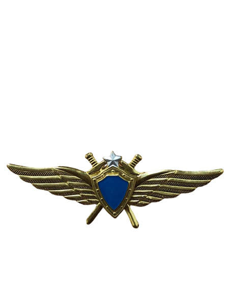 Знак нагрудный Классность ВКС / ВВС летчик закрутка - купить с ...