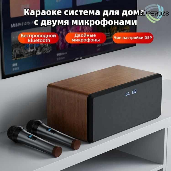 Караоке система для дома с двумя микрофонами, Встроенная звуковая карта ...
