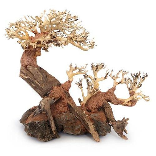 Коряга Бонсай 5 М 30x23x13 см - купить с доставкой по выгодным ценам в ...