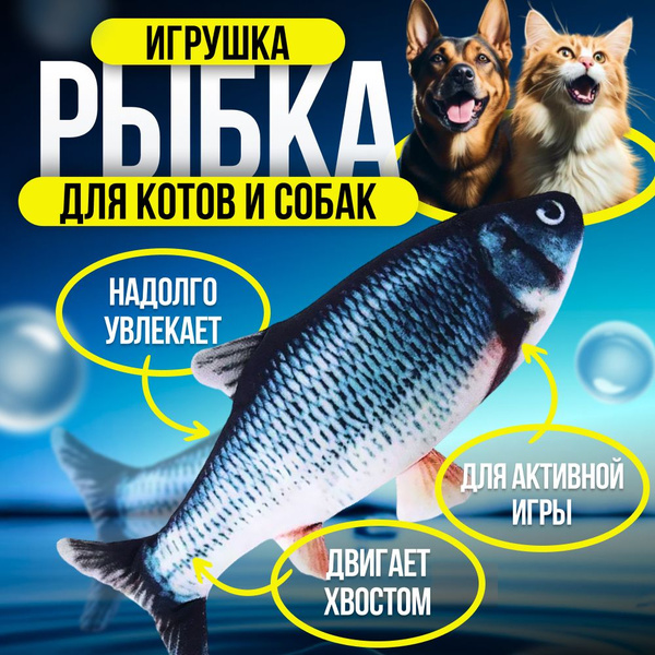 Интерактивная игрушка Рыбка для кошек, дразнилка - купить с доставкой ...
