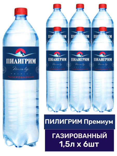 Минеральная питьевая вода ПИЛИГРИМ Премиум, газированная, 1,5 л х 6 шт ...