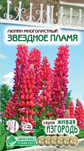 Люпин Евросемена Люпин - купить по выгодным ценам в интернет-магазине ...