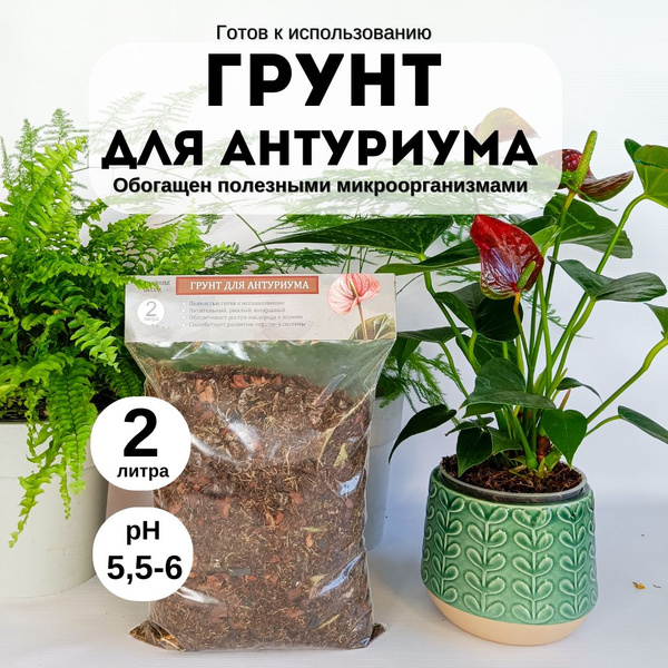 Грунт для антуриума 2 л - купить по низкой цене в интернет-магазине ...