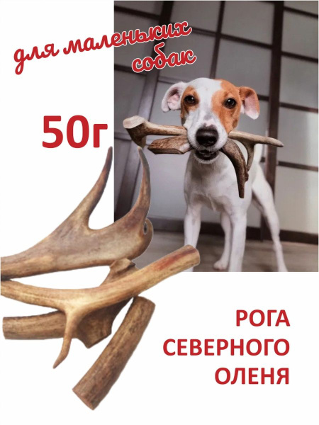 Рога северного оленя для мелких собак 50г. купить на OZON по низкой ...