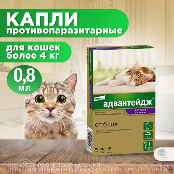 Адвантейдж Elanco капли на холку от блох, вшей, власоедов для котят и ...