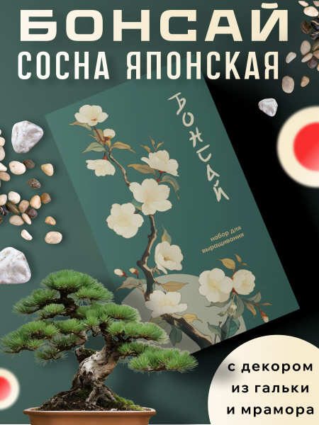 Набор для выращивания Plant Republic, Сосна, Многолетник купить по ...