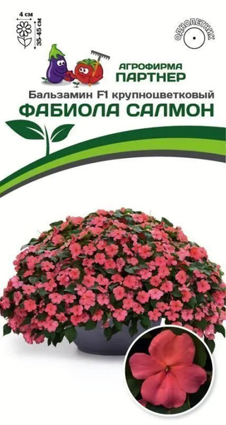 Бальзамины комнатные, Бальзамины однолетние Агрофирма Партнер новинки ...
