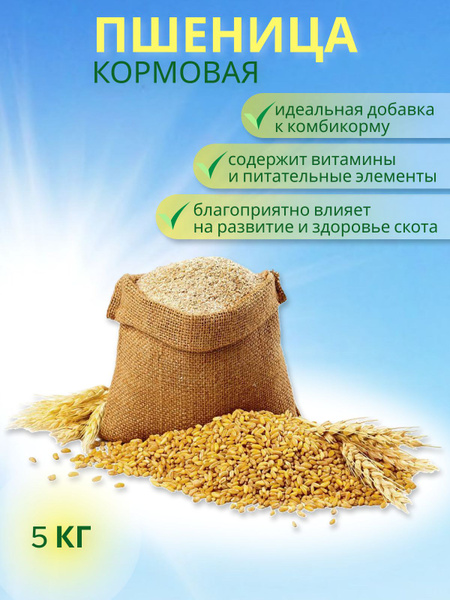 Пшеница кормовая фуражная - купить с доставкой по выгодным ценам в ...