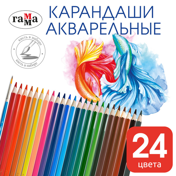 Карандаши акварельные ГАММА, 24 цвета цветные художественные, для ...