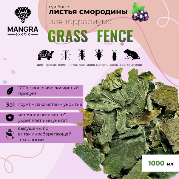 Натуральные листья черной смородины MANGRA exotic Grass Fence, сушеные ...