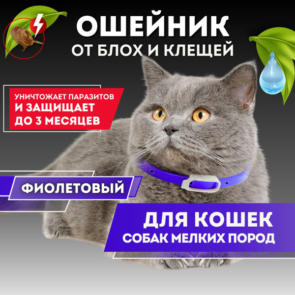 Ошейник для кошек и собак мелких пород от блох и клещей БотаникFox 30 ...