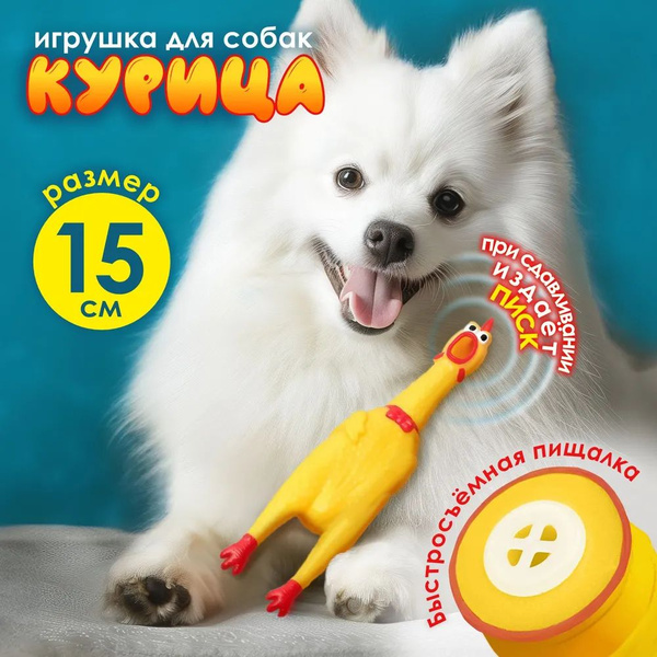 Игрушка для собак кричащая курица купить на OZON по низкой цене ...