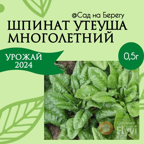 Шпинат SHEHINA Шпинат Утеуша - купить по выгодным ценам в интернет ...