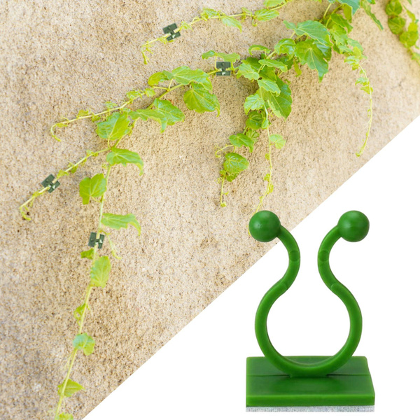 Настенные зажимы для растений Pothos, вьющихся растений,100шт - купить ...