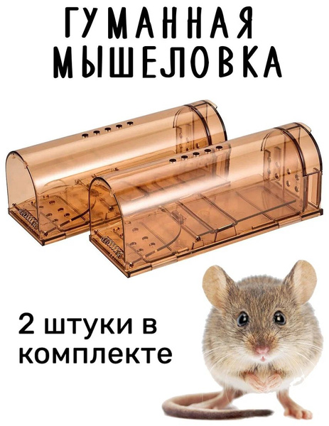 Защищаем дачу от мышей