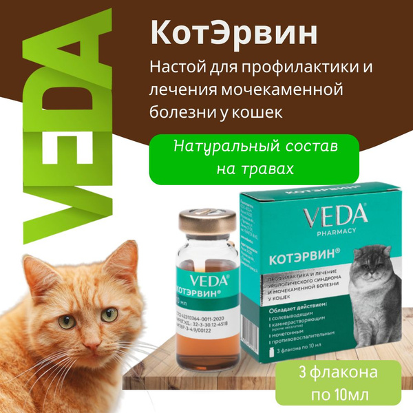 Настой для перорального применения "КОТЭРВИН", 3х10 мл - купить с ...