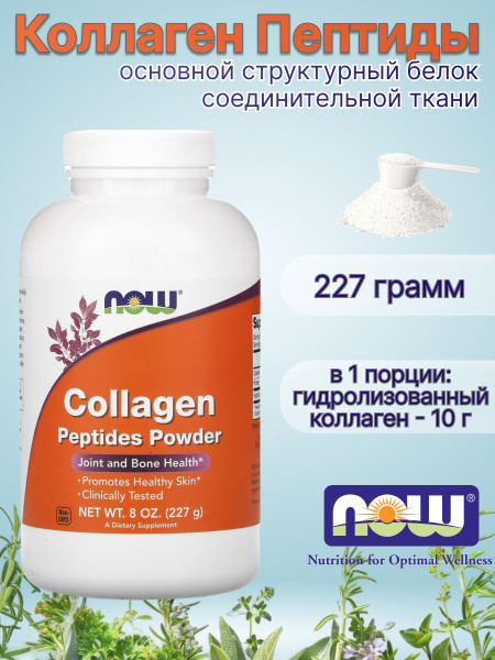 Коллаген для суставов порошок Now Foods пищевая добавка 227 грамм ...