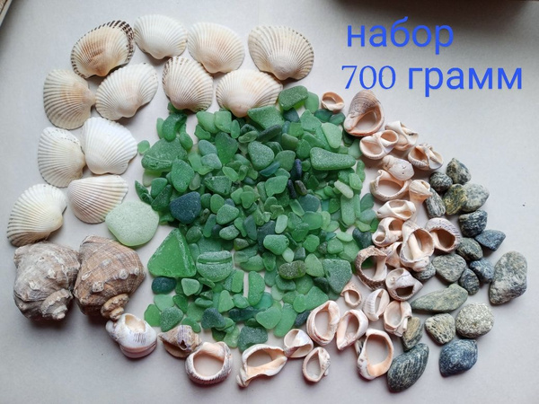 Набор ракушки, камушки и морское стекло для творчества, аквариума ...