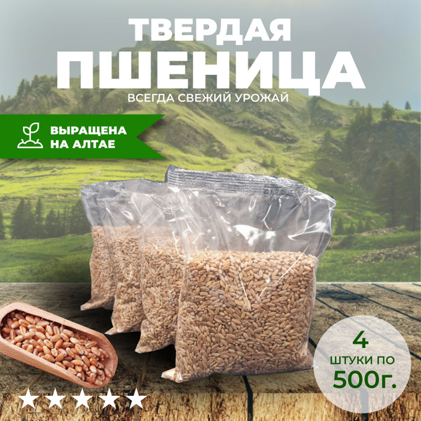 Пшеница твердых сортов Подходит для проращивания 2 кг купить на OZON по ...