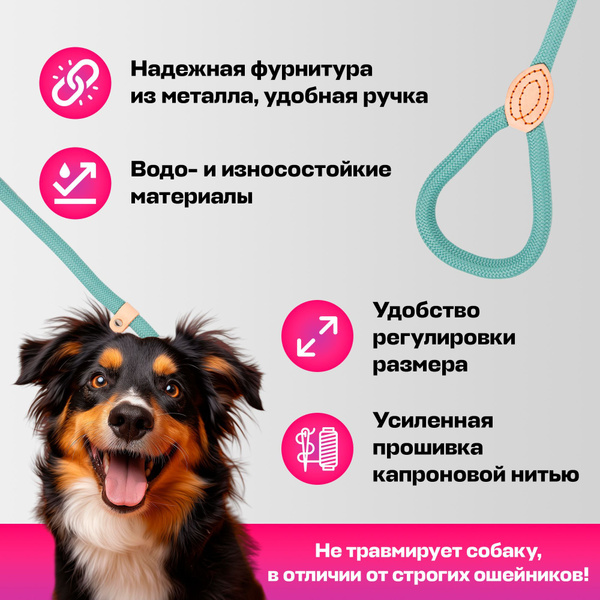 Поводок контроллер удавка для собак ринговка, 16 мм, мятный купить на ...
