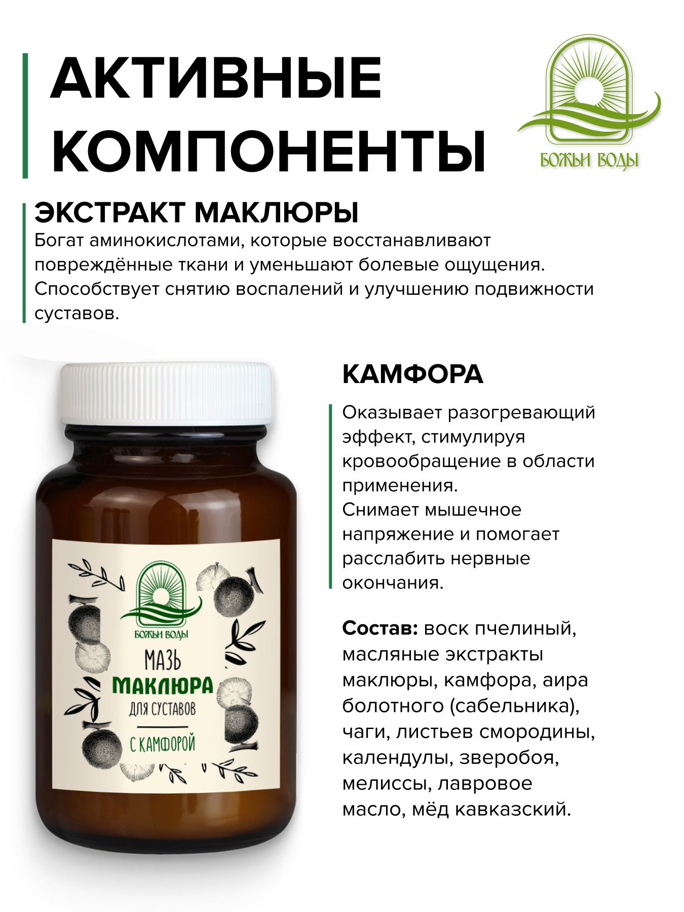 Мазь для суставов маклюра с камфорой