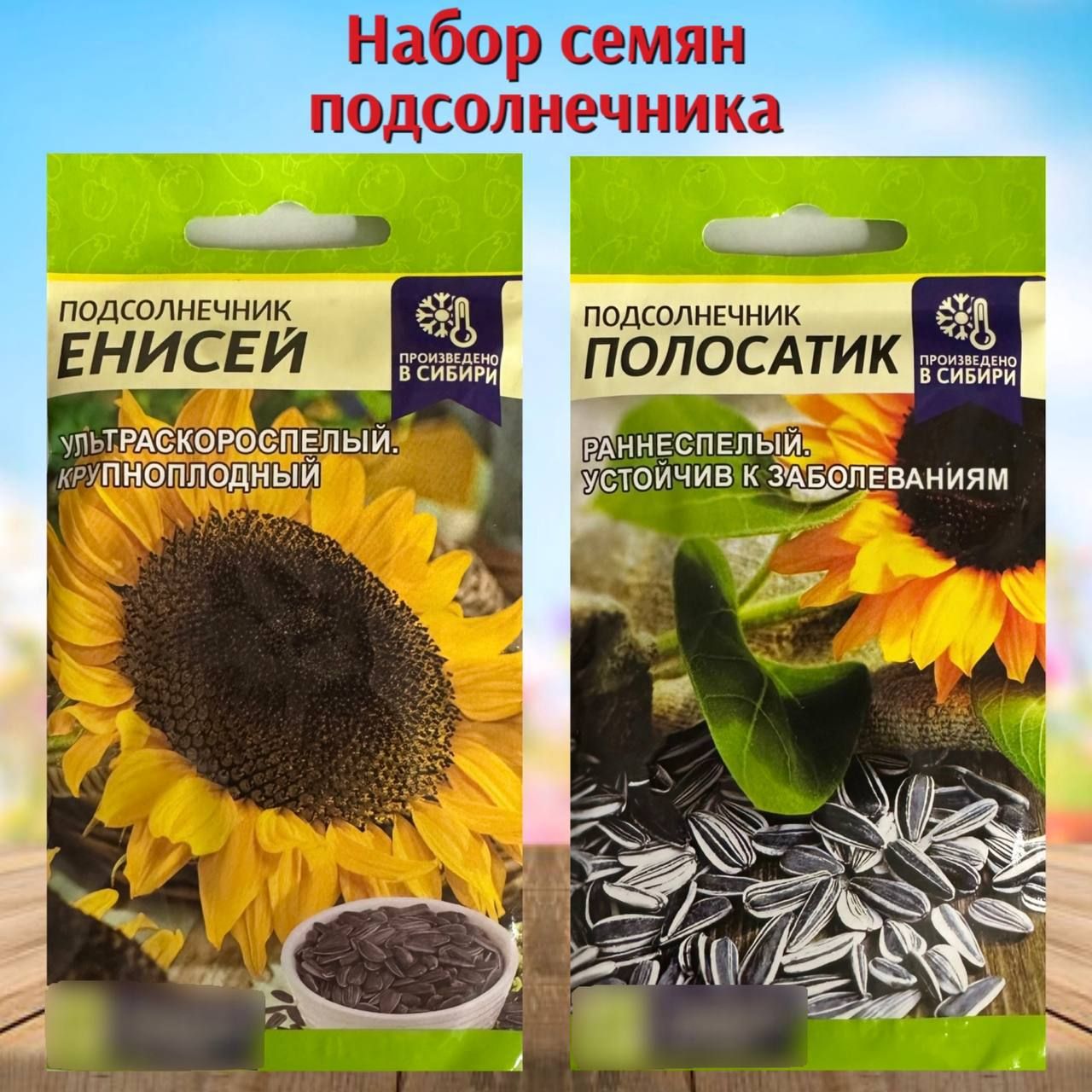 Семена Подсолнечника Енисей Купить