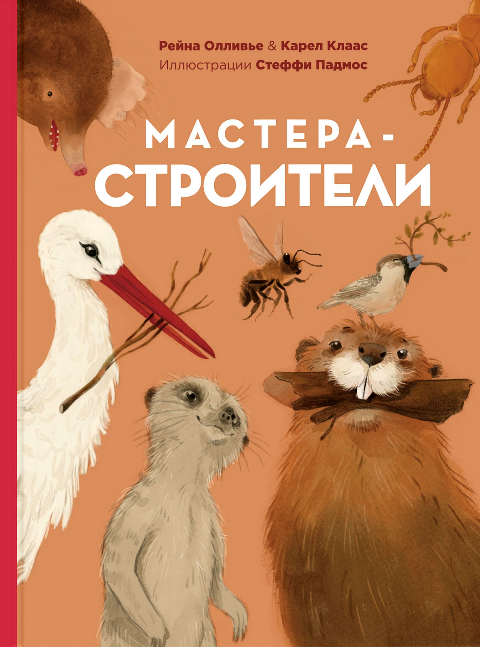 Мастера-строители | Олливье Рейна, Клаас Карел