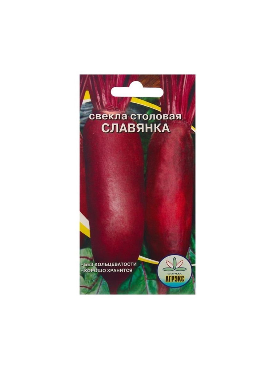 Свекла Славянка Описание Сорта Фото
