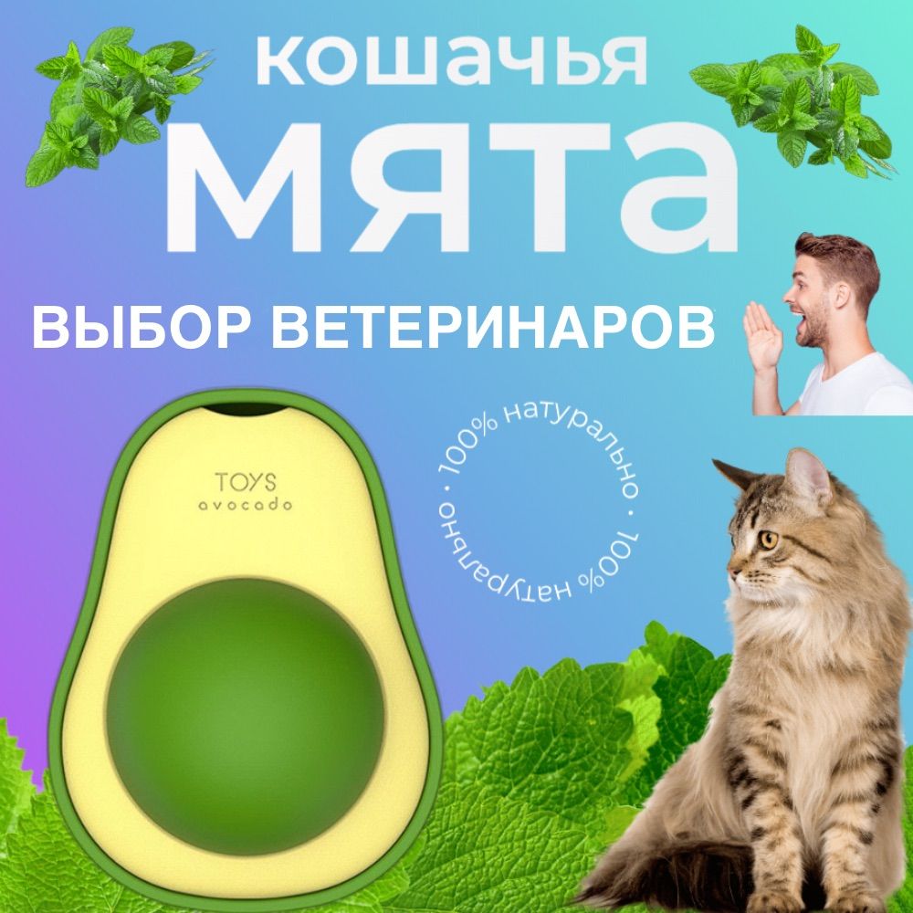 Кошачья мята / Шарик с кошачьей мятой на стену / Лакомство для кошек