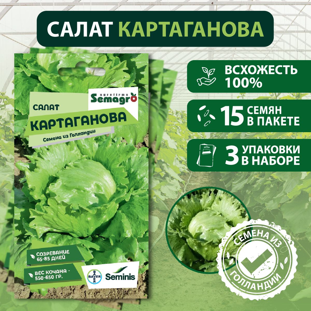 Салат Seminis овощи_3_Семена Салат Картаганова , 3 пакета - купить по  выгодным ценам в интернет-магазине OZON (1361252518)