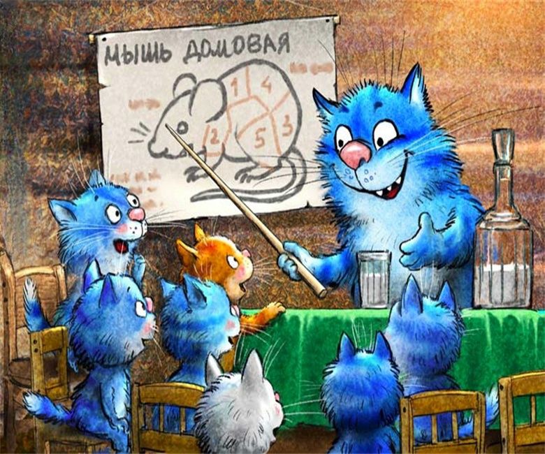 Синий кот группа