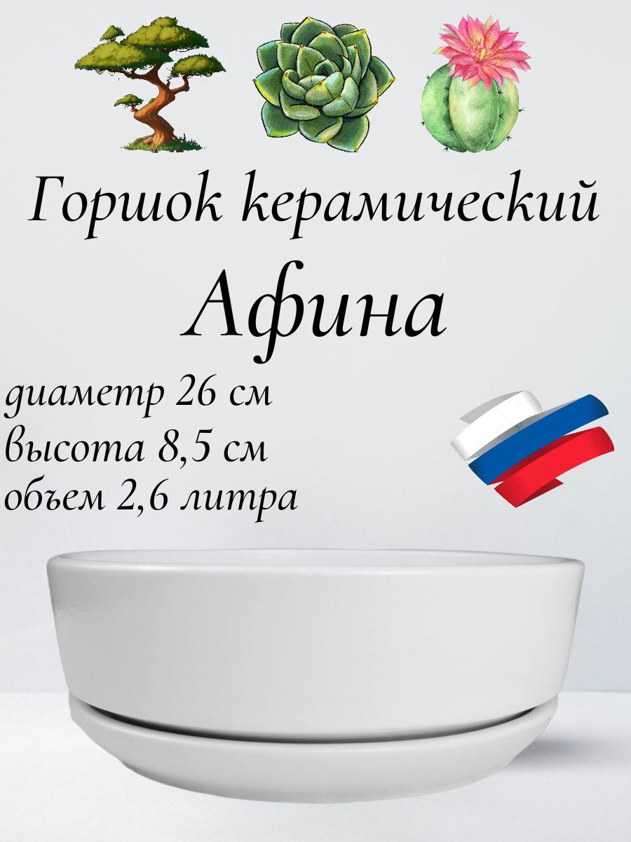 Керамическийгоршок"Бонсай-Афина"длябонсай,кактусовисуккулентов,диаметр26,высота8,5см,белый