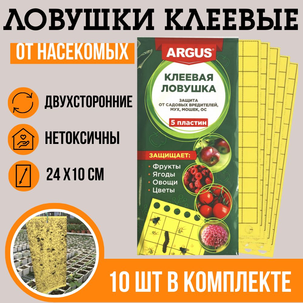 Липкая ловушка для насекомых, липучки от мошек в теплицах и горшках,  клеевые пластины 10 штук - купить с доставкой по выгодным ценам в  интернет-магазине OZON (516175697)