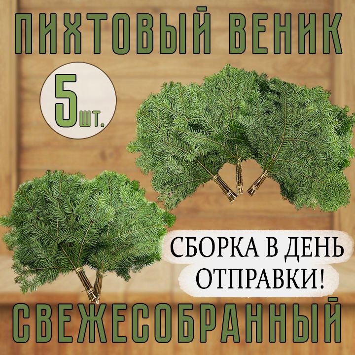 Веник для бани Пихтовый, 5 шт. 