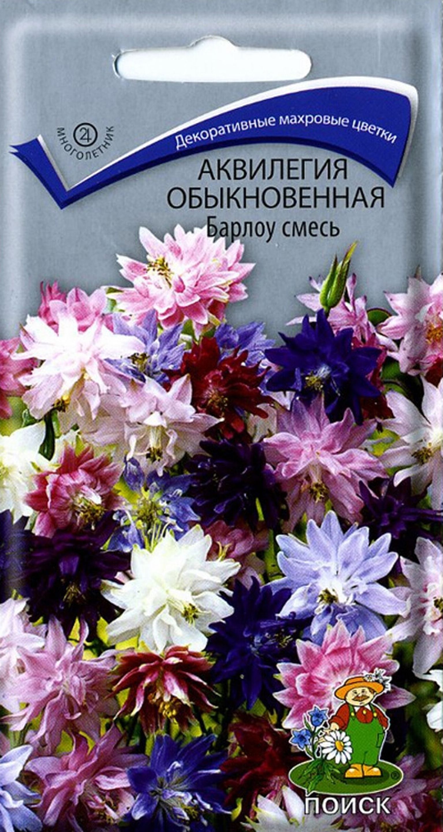 Аквилегия Купить