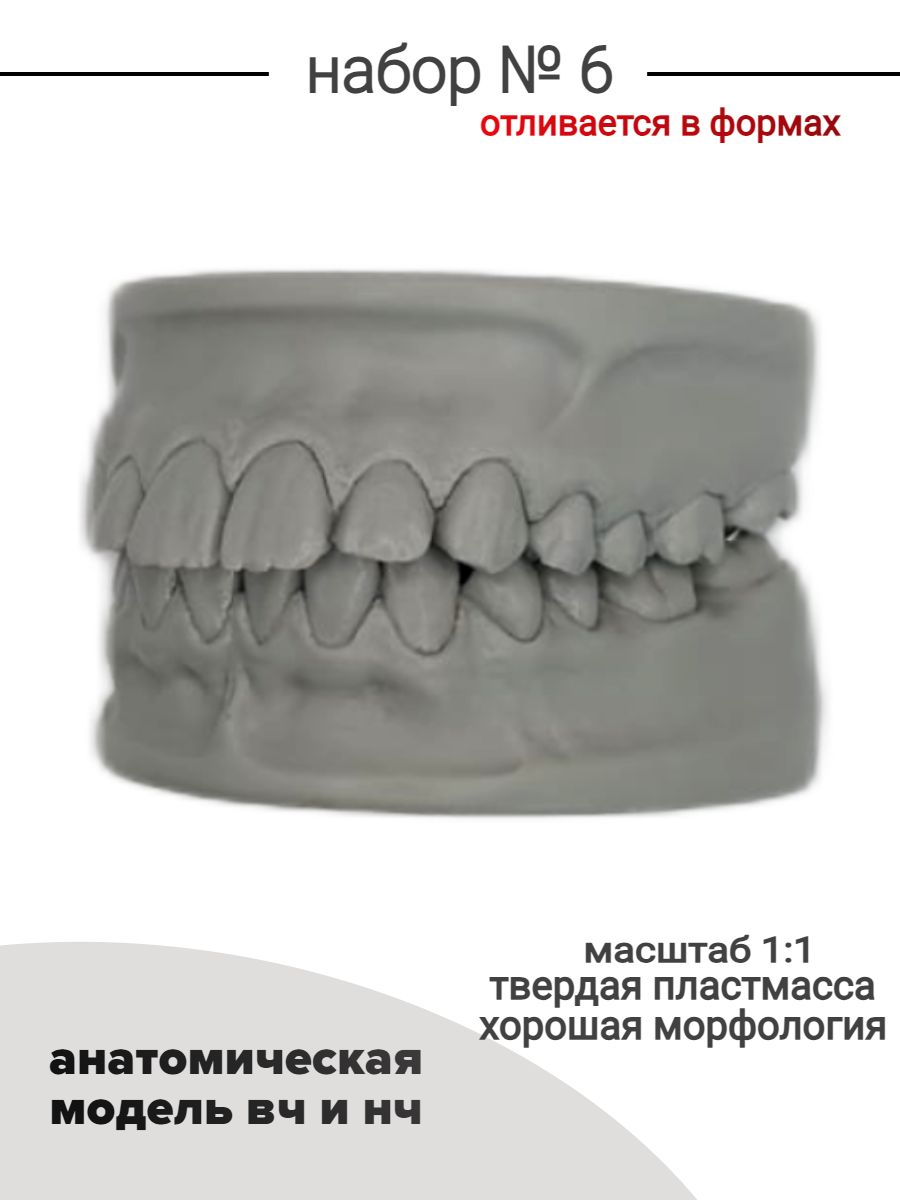 Набор №6 Зубы учебные для реставрации, стоматологический фантом. Анатомическая модель верхней и нижней челюсти